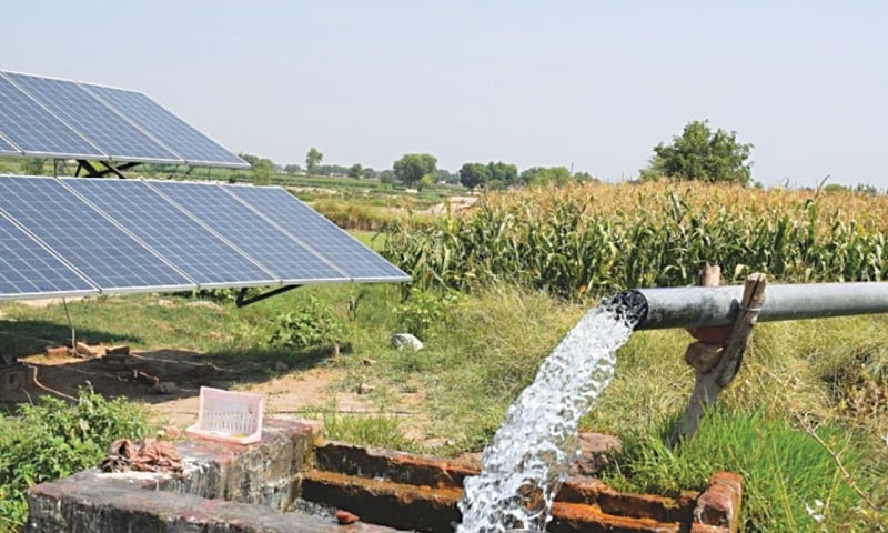solar-farming